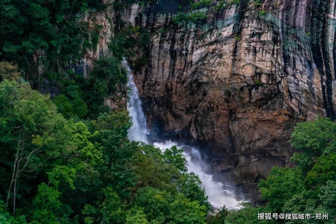 逗小猴开心系列206