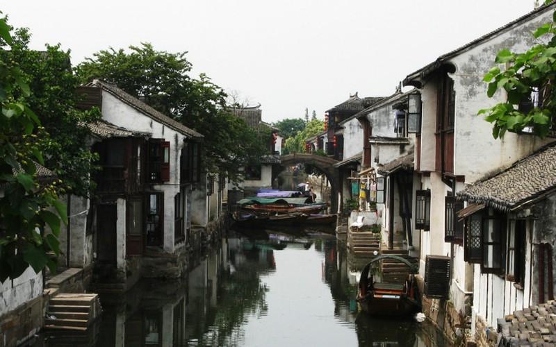 数码宝贝8